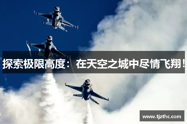 探索极限高度：在天空之城中尽情飞翔！